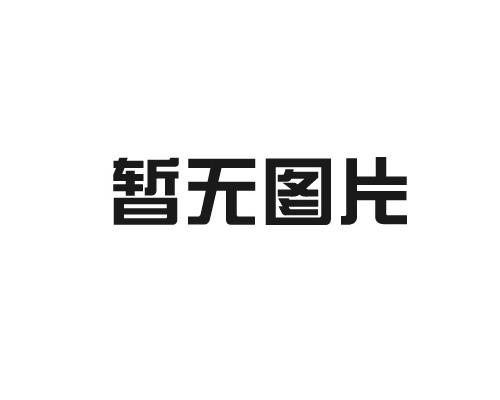 射頻導(dǎo)納物位開關(guān)HCD系列